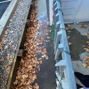More frozen water and leaves.. only side walk over here (huge Hazard )