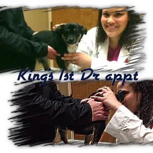 King was very comfortable and Prince fell asleep when he got home