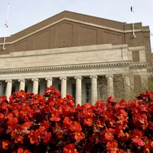 a view of a building with columns and red flowers