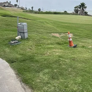 Fun little anomaly here, green side bunker full of crab grass and nothing else.