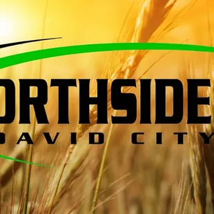 a field of wheat with the sun in the background