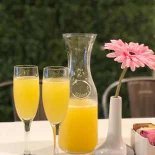 Mimosas