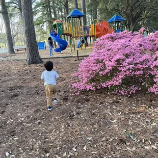 Small Children's Playground