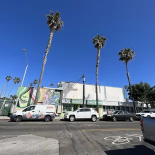 palm trees in the foreground