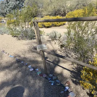 A painted rock snake, add your own creation.