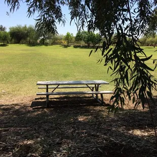 They have a huge open area -- the size of 2 football fields.