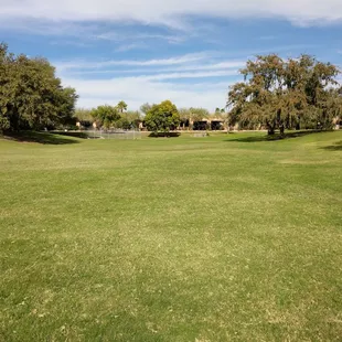 Field on West side on entrance to the park