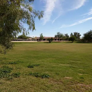 Open field on north end of park