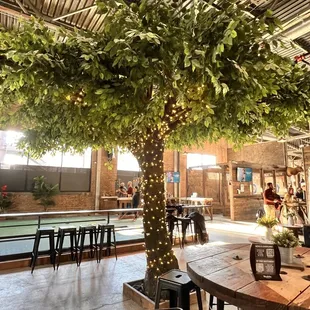 a tree in a restaurant