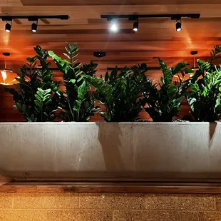 The plants are real!