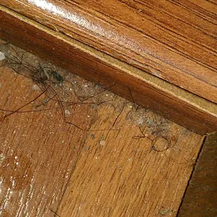 after North Star Property Management (Nasty tenant)