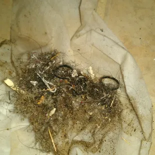 after North Star Property Management (nasty tenant)
