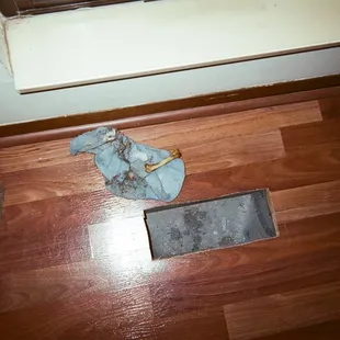 after North Star Property Management (nasty tenant)