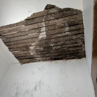 Black mold they tried to tell me wasn't mold.