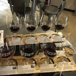 Wine tasting with information cards