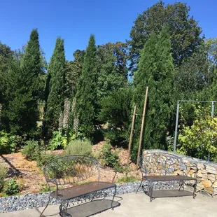 a view of a garden with a stone wall and benches