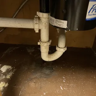 Mold maybe?? Under the sink.