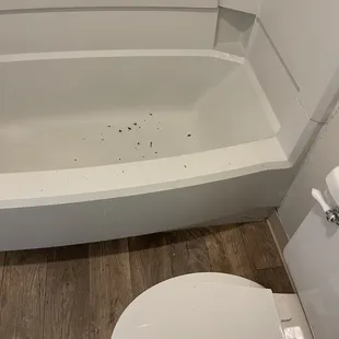 Dirt and such they left in the bathtub.