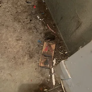 The mouse trap in the water heater closet along with dirt.