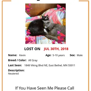 We lost our lite gray cat his name is Kevin. He is neutered