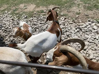 Blackacre Nature Preserve