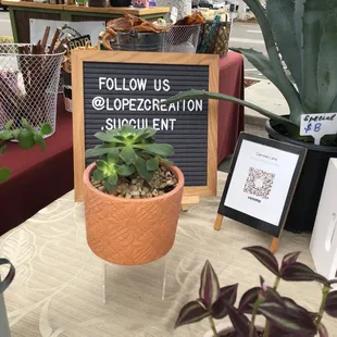 1/29/22 Do it for the gram (LOL)