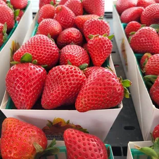 You'll always find fresh strawberries from local, family farms on Tuesdays &amp; Saturdays at the Farmers Market.