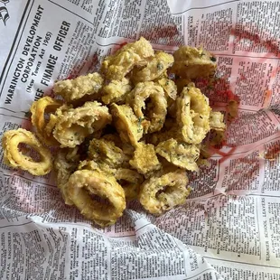 Calamari