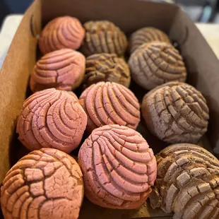 Freshly made conchas!