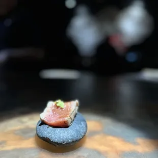 a piece of salmon on a rock