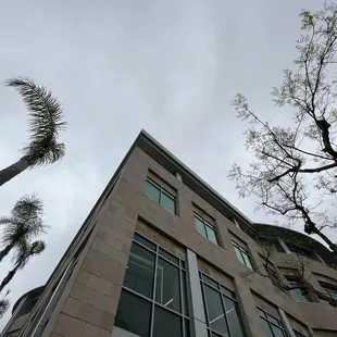 a tall building with palm trees