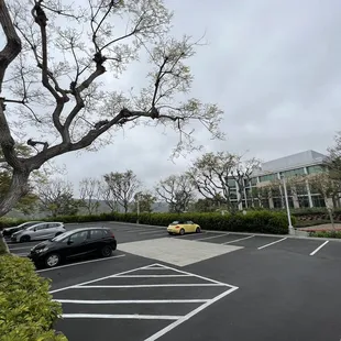 outside, burritos and wraps