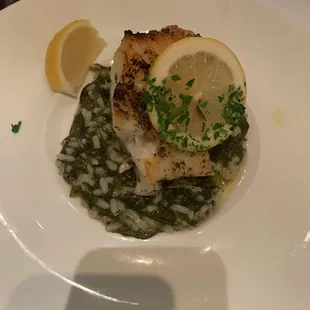 Sea Bass