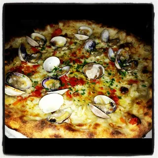 Vongole bianco