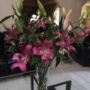 These are to die for!!!!!!