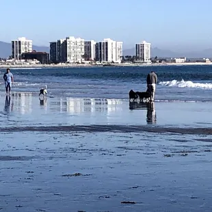 The surf @ Breakers Beach, Coronado, CA.