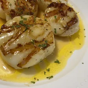 Scallops