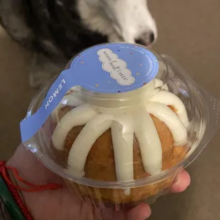 a dog in the background