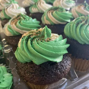CSUS graduation themed cupcakes