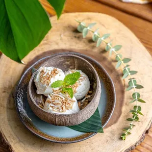 Homemade coconut icecream