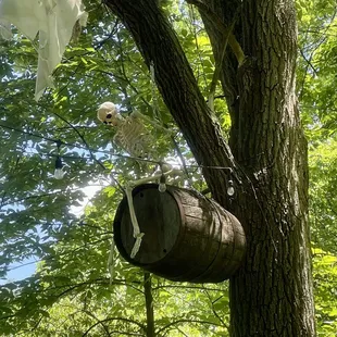 a skeleton hanging from a tree