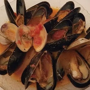 food, oysters, oysters and mussels, shellfish, mussels