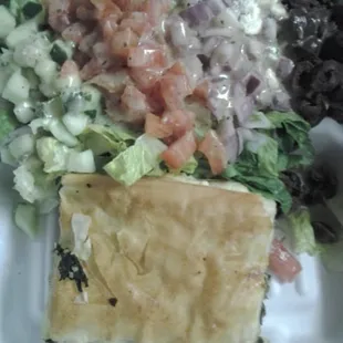 Spanakopita with Greek Salad Plate.