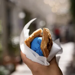 a hand holding a blue ball of ice cream