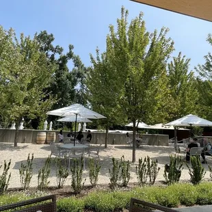 people sitting under umbrellas