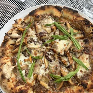 Mushroom truffle pizza