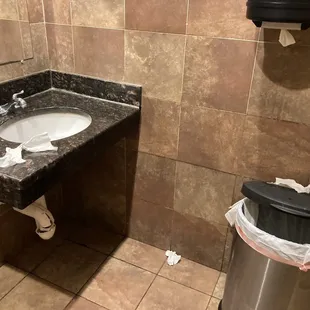 a sink and trash can