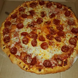 Large pizza with extra cheese and pepperoni