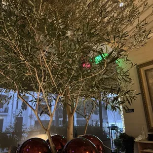 soups and chowder, interior