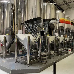 Love the Toucan mural !